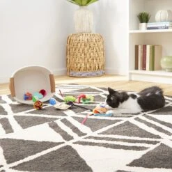 Goody Box Kitten Toys & Treats -Cat Supplies 258991 PT4. AC SS1800 V1657656402