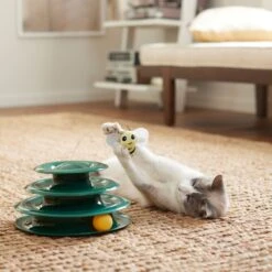 Goody Box Kitten Toys & Treats -Cat Supplies 258991 PT5. AC SS1800 V1657656402