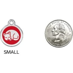 Red Dingo Kitten Personalized Stainless Steel Cat ID Tag, Small -Cat Supplies 260285 PT8. AC SS1800 V1617690716