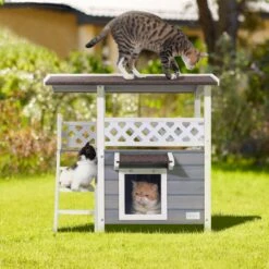 Petsfit Outdoor Cat House -Cat Supplies 261505 PT5. AC SS1800 V1605666930