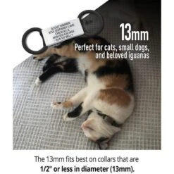 DOG ID Personalized Cat ID Tag -Cat Supplies 262043 PT2. AC SS1800 V1607481764