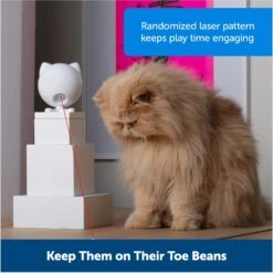 PetSafe Dancing Dot Laser Cat Toy -Cat Supplies 266211 PT5. AC SS1800 V1676318551