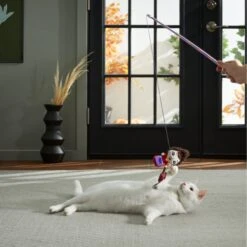 Disney Hocus Pocus' Mary's Vacuum Teaser Cat Toy With Catnip 5 Disney Hocus Pocus' Mary's Vacuum Teaser Cat Toy With Catnip -Cat Supplies 267876 PT3. AC SS1800 V1623245551