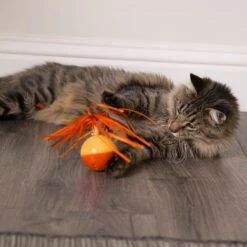 SmartyKat Twirly Tops Replacement Wand Cat Toy, Yellow, 2 Count -Cat Supplies 269237 PT5. AC SS1800 V1639007842