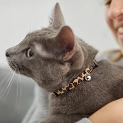 Leopard Print Cat Collar -Cat Supplies 269496 PT4. AC SS1800 V1617037438