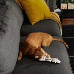 Frisco Halloween Good Witch, Bad Witch Reversible Plush Cat Toy With Catnip -Cat Supplies 270301 PT3. AC SS1800 V1624824841