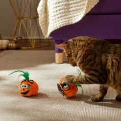 Frisco Halloween Nerdy Jack-o-Lanterns Plush Cat Toy With Catnip, 2 Count 6 Frisco Halloween Nerdy Jack-o-Lanterns Plush Cat Toy With Catnip, 2 Count -Cat Supplies 270313 PT3. AC SS1800 V1624824951