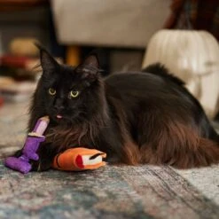 Frisco Halloween Enchanted Book & Candle Plush Cat Toy With Catnip, 2 Count -Cat Supplies 270321 PT3. AC SS1800 V1689878926