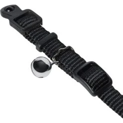 Frisco Nylon Personalized Breakaway Cat Collar With Bell -Cat Supplies 270731 PT2. AC SS1800 V1618936921
