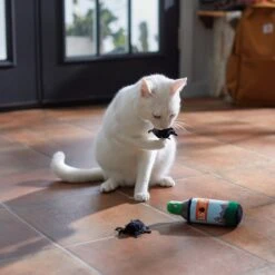 Frisco Camping Bug Spray Plush Cat Toy With Catnip, 3 Count -Cat Supplies 270969 PT3. AC SS1800 V1625009346