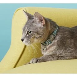Frisco Pineapple Polyester Personalized Breakaway Cat Collar With Bell -Cat Supplies 271597 PT4. AC SS1800 V1618936919