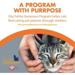 Feline Pine Platinum Natural Pine Cat Litter -Cat Supplies 272685 PT8. AC SS1800 V1663796921