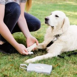 Ubbi® Ubbi On-The-Go Dog & Cat Wipes Dispenser -Cat Supplies 279128 PT3. AC SS1800 V1615509403