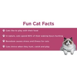 Doc & Phoebe's Cat Co. The Hunting Snacker Interactive Cat Treat Toy, Blue -Cat Supplies 279341 PT8. AC SS1800 V1617399710