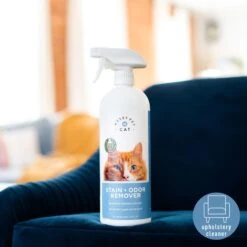 Messy Pet Cat Stain & Odor Remover, 27-oz Bottle -Cat Supplies 279368 PT3. AC SS1800 V1683653654