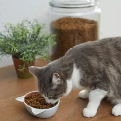 Disney Aristocats Marie Non-skid Ceramic Cat Bowl -Cat Supplies 280578 PT3. AC SS1800 V1629986677