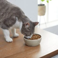 STAR WARS Tie Fighter No-Skid Ceramic Cat Bowl -Cat Supplies 280654 PT3. AC SS1800 V1629986947