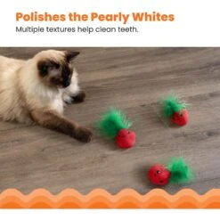 Catstages Straw-Babies Catnip Dental Cat Toy, 3 Count -Cat Supplies 282256 PT3. AC SS1800 V1631687810