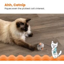 Catstages Squeak Squeak Mouse Cat Toy -Cat Supplies 282263 PT3. AC SS1800 V1636512259