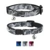 Buckle-Down Personalized Breakaway Cat Collar With Bell