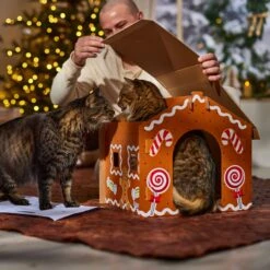 Frisco Holiday Gingerbread House Cardboard Cat House Cat Toy -Cat Supplies 287289 PT3. AC SS1800 V1695046487