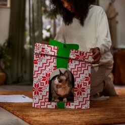 Frisco Holiday Gift Box Cardboard Cat House -Cat Supplies 287291 PT3. AC SS1800 V1695043502