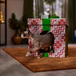 Frisco Holiday Gift Box Cardboard Cat House -Cat Supplies 287291 PT4. AC SS1800 V1695045716