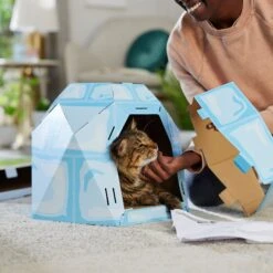 Frisco Igloo Cardboard Cat House -Cat Supplies 287293 PT3. AC SS1800 V1692035199