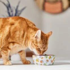 Disney Princesses Non-Skid Ceramic Cat Bowl -Cat Supplies 291395 PT3. AC SS1800 V1633979293