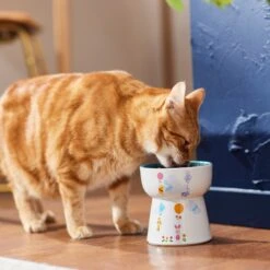 Disney Winnie The Pooh Tall Shape Non-Skid Elevated Ceramic Cat Bowl 7 Disney Winnie The Pooh Tall Shape Non-Skid Elevated Ceramic Cat Bowl -Cat Supplies 291407 PT3. AC SS1800 V1633979783