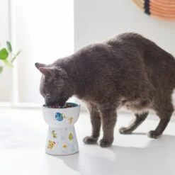 Pixar Finding Nemo Tall Shape Non-Skid Elevated Ceramic Cat Bowl -Cat Supplies 291430 PT3. AC SS1800 V1633978366