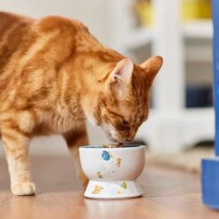 Pixar Finding Nemo Short Shape Non-Skid Elevated Ceramic Cat Bowl -Cat Supplies 291431 PT3. AC SS1800 V1633978887