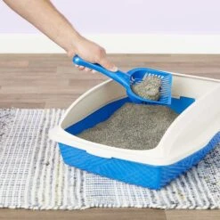 Arm & Hammer Litter Cat Litter Deodorizer Powder & Arm & Hammer Litter Slide Multi-Cat Scented Clumping Clay Cat Litter 15 Arm & Hammer Litter Cat Litter Deodorizer Powder & Arm & Hammer Litter Slide Multi-Cat Scented Clumping Clay Cat Litter -Cat Supplies 292662 PT7. AC SS1800 V1619998628