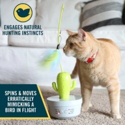 OurPets Cactus Wand Cat Toy 9 OurPets Cactus Wand Cat Toy -Cat Supplies 295682 PT4. AC SS1800 V1632947541