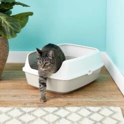 Frisco Decorative Side Table Cat Litter Box Cover & Frisco Open Top Cat Litter Box With Rim, Large -Cat Supplies 297992 PT6. AC SS1800 V1621299762