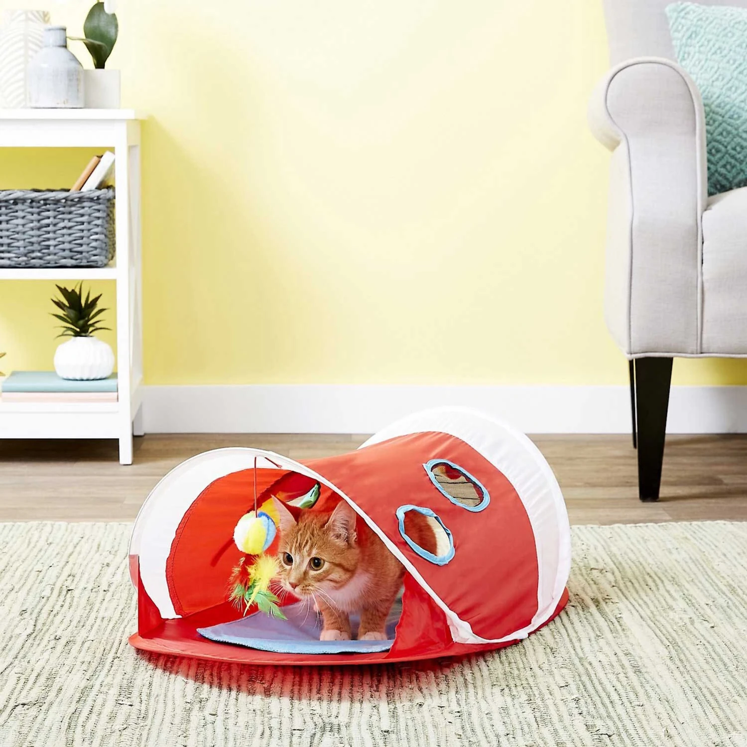 Hartz Delectables Bisque Variety Pack Lickable Cat Treats & Hartz Just For Cats Peek & Play Pop-Up Tent Cat Toy 7 Hartz Delectables Bisque Variety Pack Lickable Cat Treats & Hartz Just For Cats Peek & Play Pop-Up Tent Cat Toy - Image 7