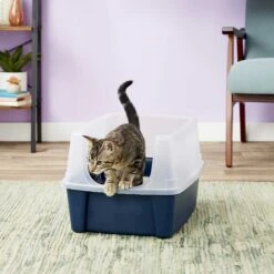 Frisco Plastic Litter Scooper With Caddy & IRIS USA Open Top Litter Box With Scatter Shield 13 Frisco Plastic Litter Scooper With Caddy & IRIS USA Open Top Litter Box With Scatter Shield -Cat Supplies 298166 PT6. AC SS1800 V1623202669