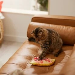 Frisco Lunar New Year Fan Plush Cat Toy With Catnip -Cat Supplies 298911 PT3. AC SS1800 V1640269039