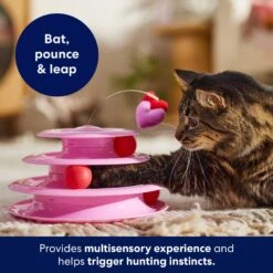 Frisco Unicorn Cat Tracks Cat Toy With Catnip -Cat Supplies 298958 PT3. AC SS1800 V1701797064