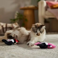 Disney Mickey & Minnie Mouse Plush Cat Toy With Catnip, 2 Count -Cat Supplies 299011 PT3. AC SS1800 V1701364870