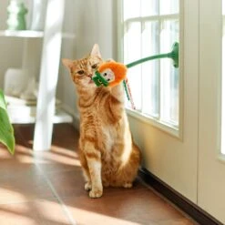 Frisco St. Patrick's Leprechaun Suction Cup Teaser Cat Toy With Catnip 7 Frisco St. Patrick's Leprechaun Suction Cup Teaser Cat Toy With Catnip -Cat Supplies 303110 PT3. AC SS1800 V1641230446
