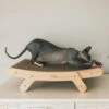 Mau Lifestyle Cardboard Cat Scratcher