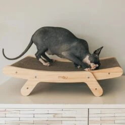 Mau Lifestyle Cardboard Cat Scratcher -Cat Supplies 308909 PT2. AC SS1800 V1635202579