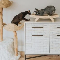 Mau Lifestyle Cardboard Cat Scratcher -Cat Supplies 308909 PT3. AC SS1800 V1635198754