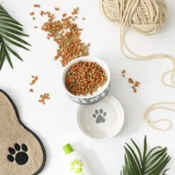 Bone Dry Meow Set Cat Bowl -Cat Supplies 313413 PT6. AC SS1800 V1631764117