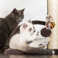 Pet Adobe 5-Tier 58.5-in Cat Tree & Condo -Cat Supplies 314985 PT5. AC SS1800 V1626397620