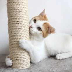 Pet Adobe Multi-Level 71.5-in Cat Tree & Condo -Cat Supplies 315014 PT4. AC SS1800 V1626394575