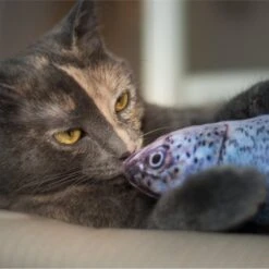 Pet Fit For Life Robotic Floppy Fish & Wand Cat Toy -Cat Supplies 316700 PT7. AC SS1800 V1631761951