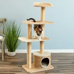 Two By Two The Cottonwood 51-in Cat Tree & Condo, Beige -Cat Supplies 316954 PT4. AC SS1800 V1642644729