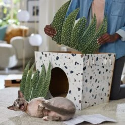 Frisco Potted Succulent Cardboard Cat House -Cat Supplies 317723 PT3. AC SS1800 V1688677248